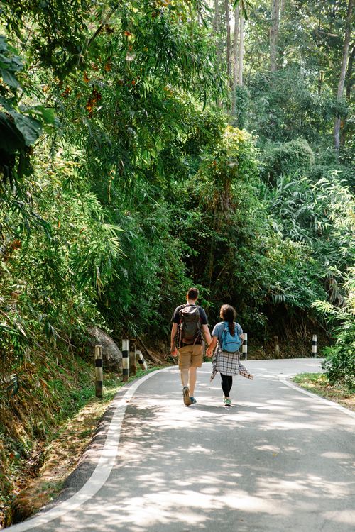 Free Back view of anonymous young travelling couple in casual clothes with backpacks holding hands and strolling on narrow asphalt road among lush green tropical trees on sunny day Stock Photo