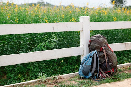 Heavy backpacks placed on ground near wooden fence and lush blooming meadow in countryside