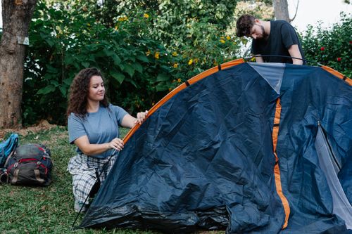 Free Focused couple of hikers in casual clothes pitching tent among green plants placed in park in daytime Stock Photo