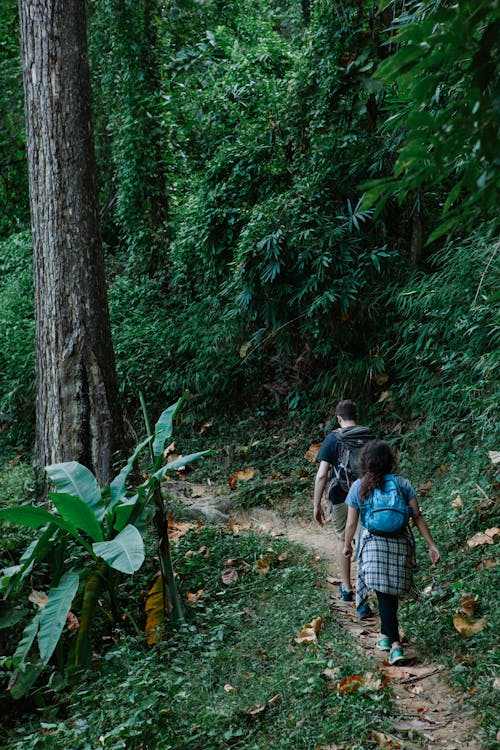 Anonymous couple walking in lush forest during hiking trip