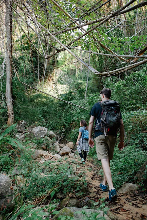 Back view of unrecognizable young male traveler in casual clothes with backpack walking along rough narrow trail with girlfriend during trekking in lush green woods on sunny day