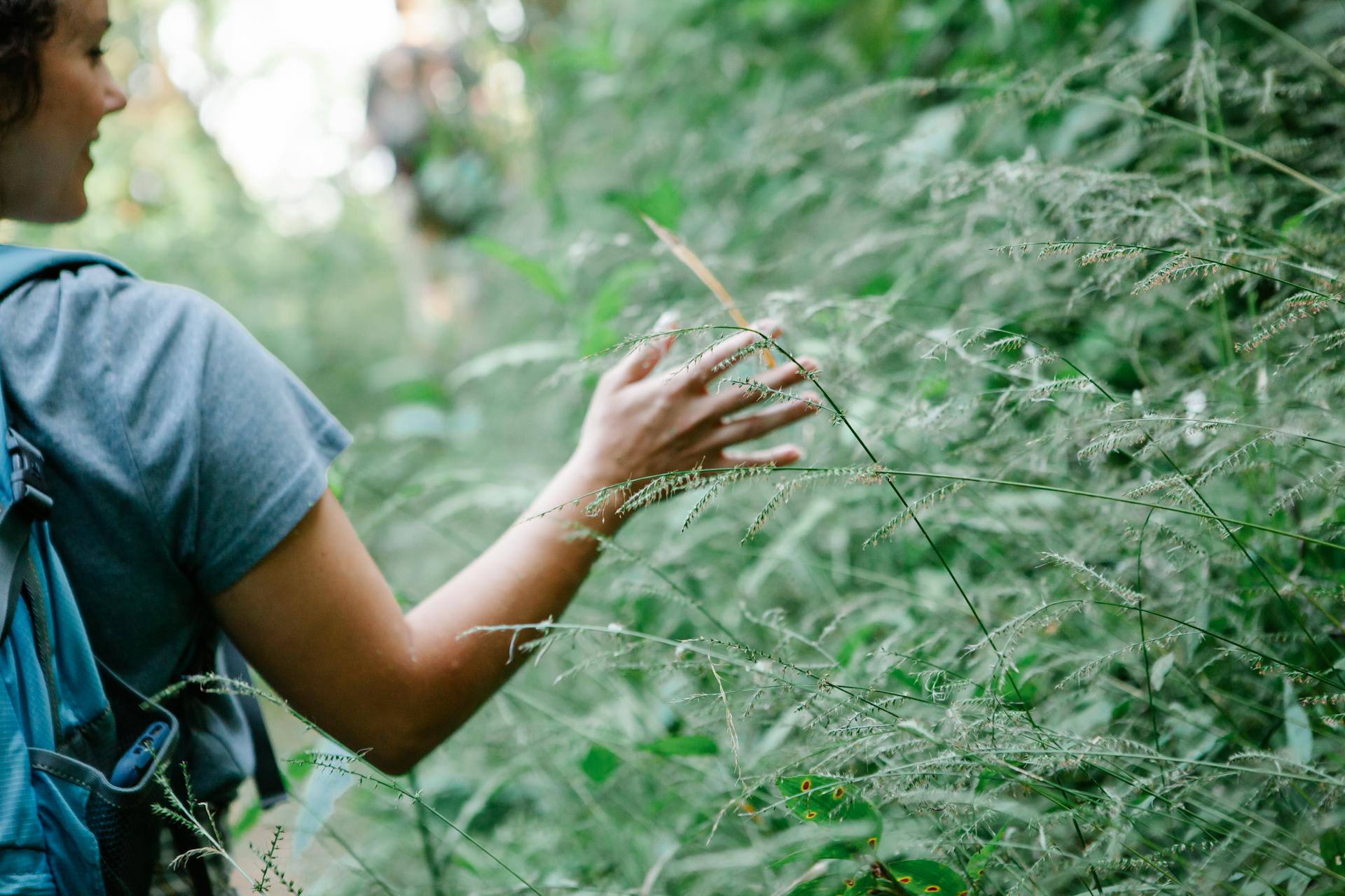 Back view of crop young female hiker in casual clothes with backpack smiling and touching lush green plants during trekking in forest on sunny summer day