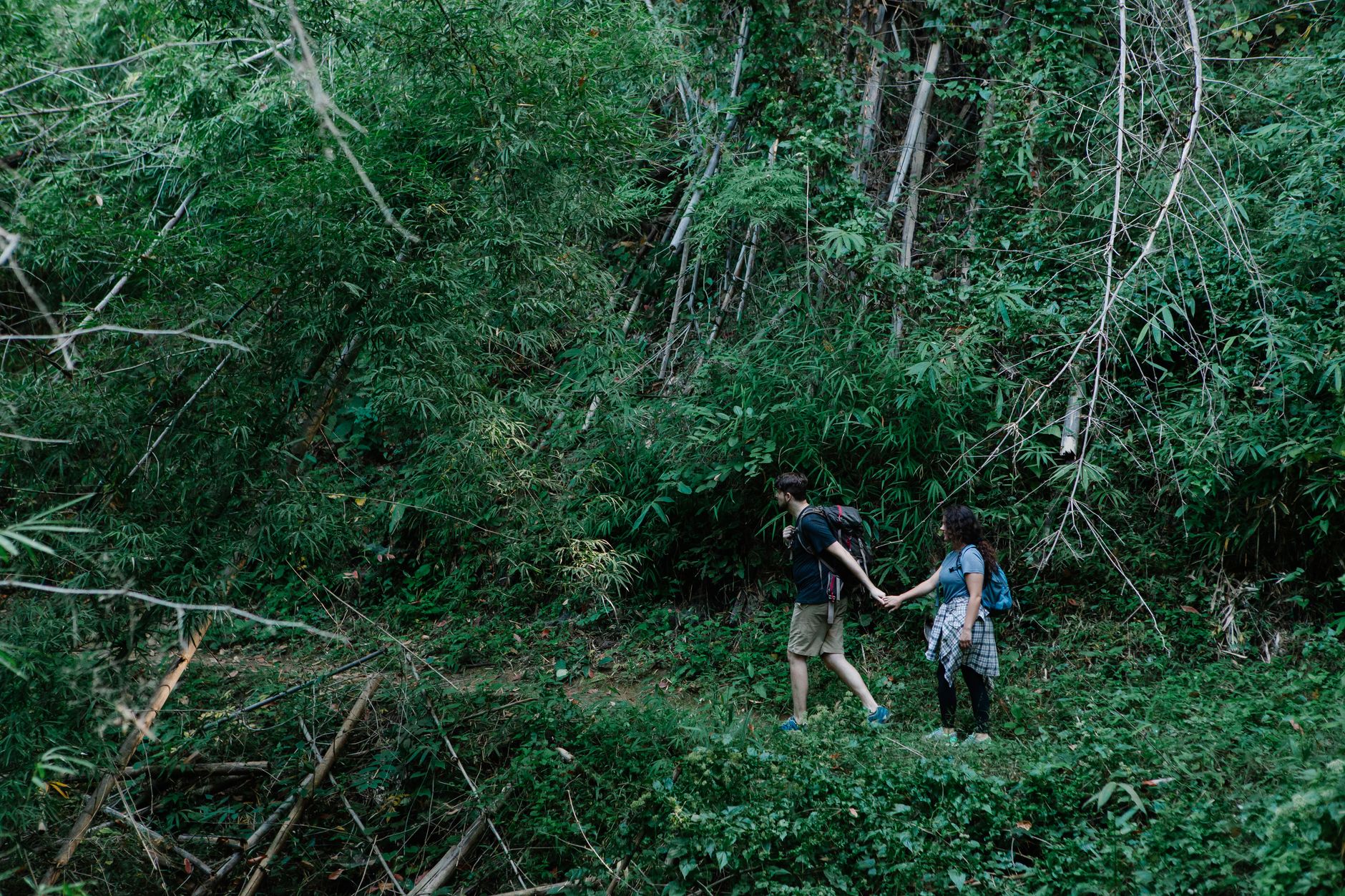 如何在親密關係中不再迷失自我:界線、覺察與實用練習 A couple holds hands while trekking through a dense and vibrant forest, embracing nature.