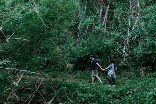 Free Side view of couple of hikers holding hands and walking on pathway among green trees in forest in daytime Stock Photo