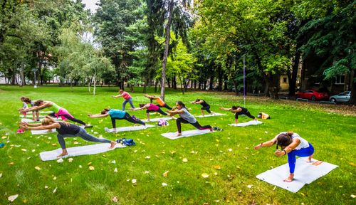 Free Women practicing yoga in an open park surrounded by lush greenery, promoting fitness and well-being. Stock Photo