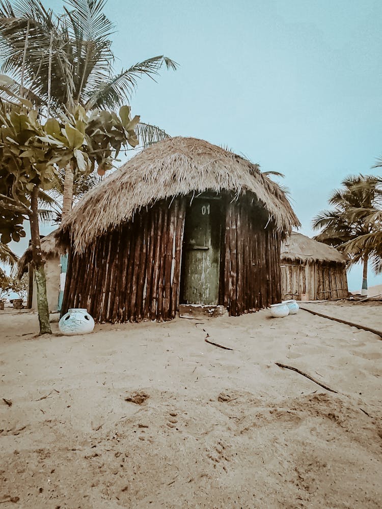 Old Beach House And Palms On Sandy Seashore