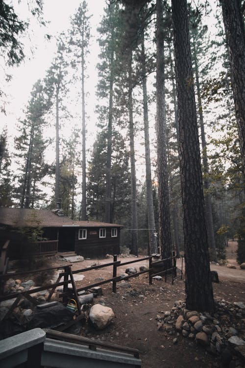 Foto profissional grátis de árvores, cabana, cabine