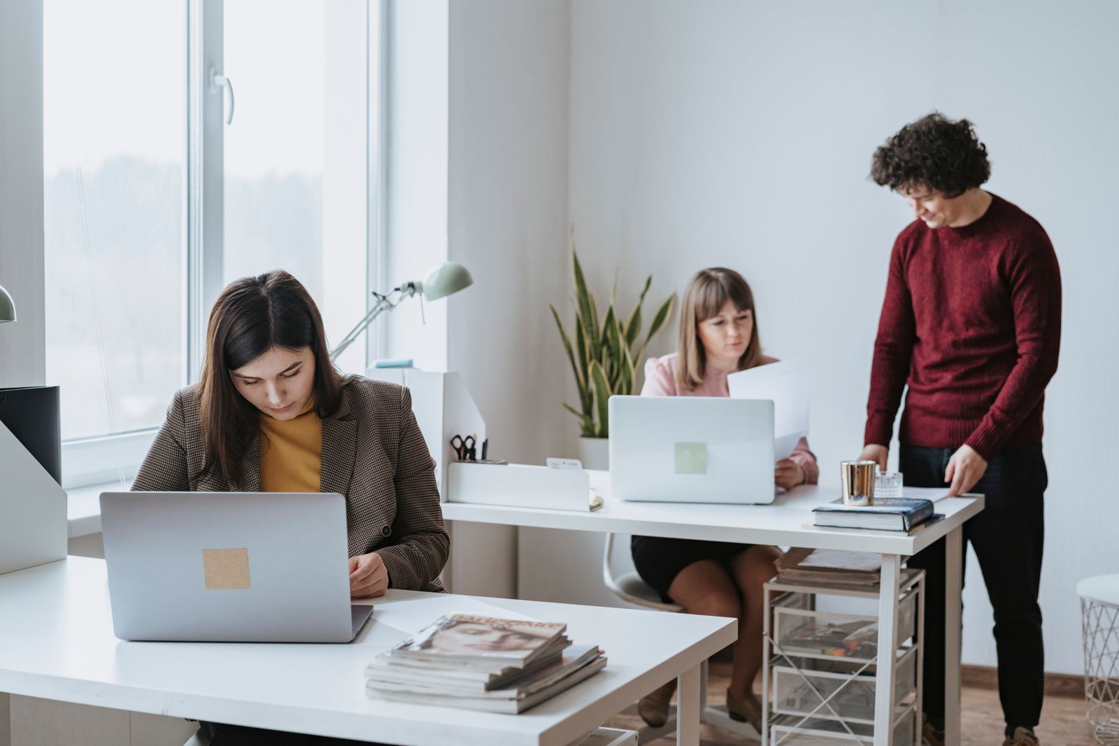 Colleagues working at desks in a bright modern office — photo by olia danilevich on Pexels