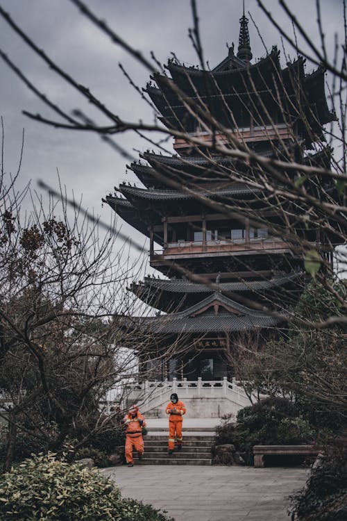 Traditional Asian pagoda among plants