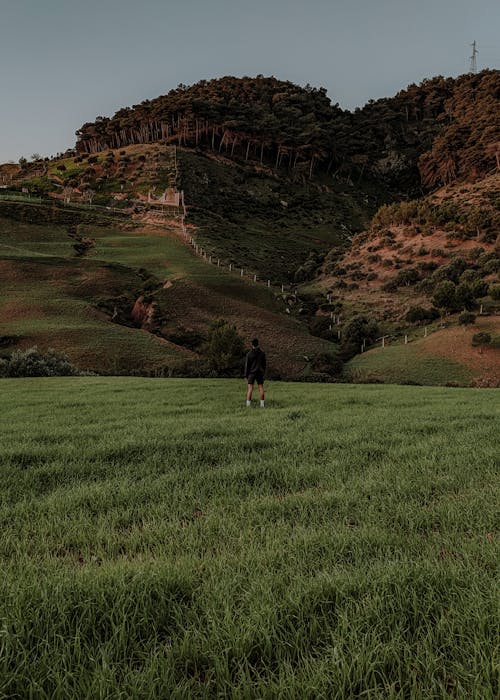 Man Standing on Grassland Beside a Mountain