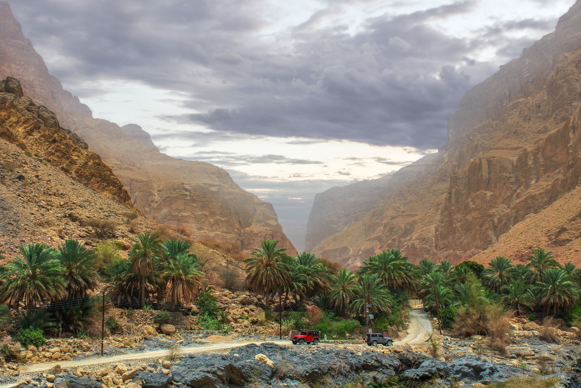Dramatic valley in Muscat Governorate, Oman, featuring palm trees and rugged terrain.