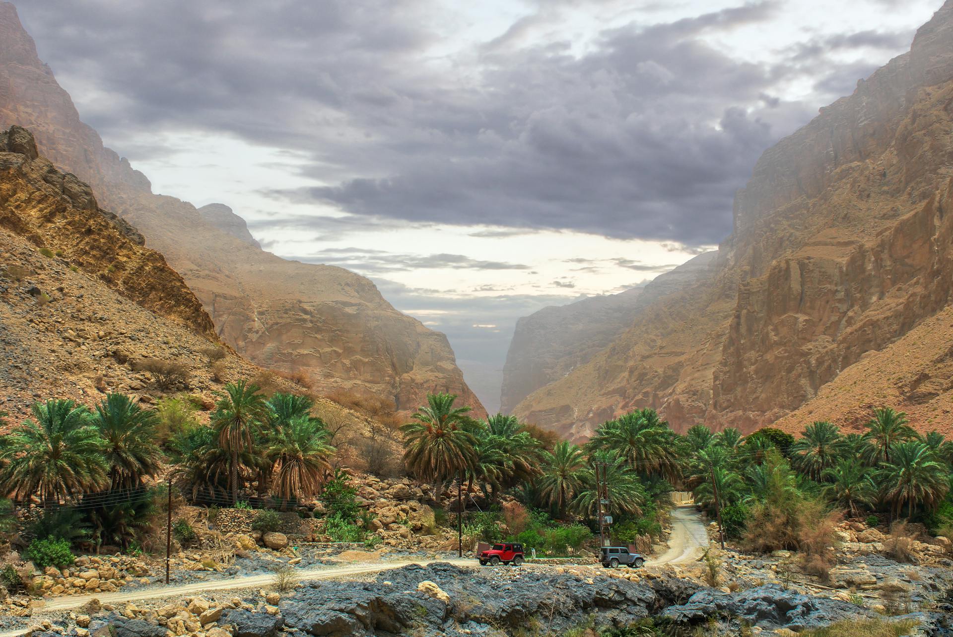 Dramatic valley in Muscat Governorate, Oman, featuring palm trees and rugged terrain.