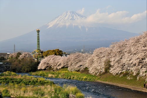 無料 ビュー, 富士山, 屋外の無料の写真素材 写真素材