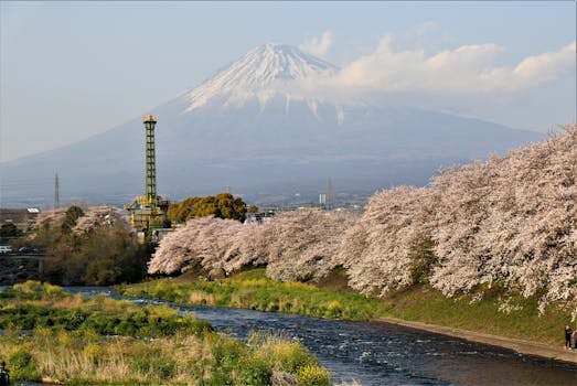 Breathtaking view of Mount Fuji and cherry blossoms in full bloom along a serene river in Japan.