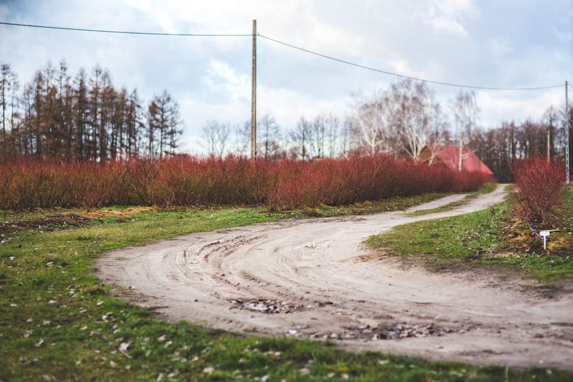 Free Country road Stock Photo