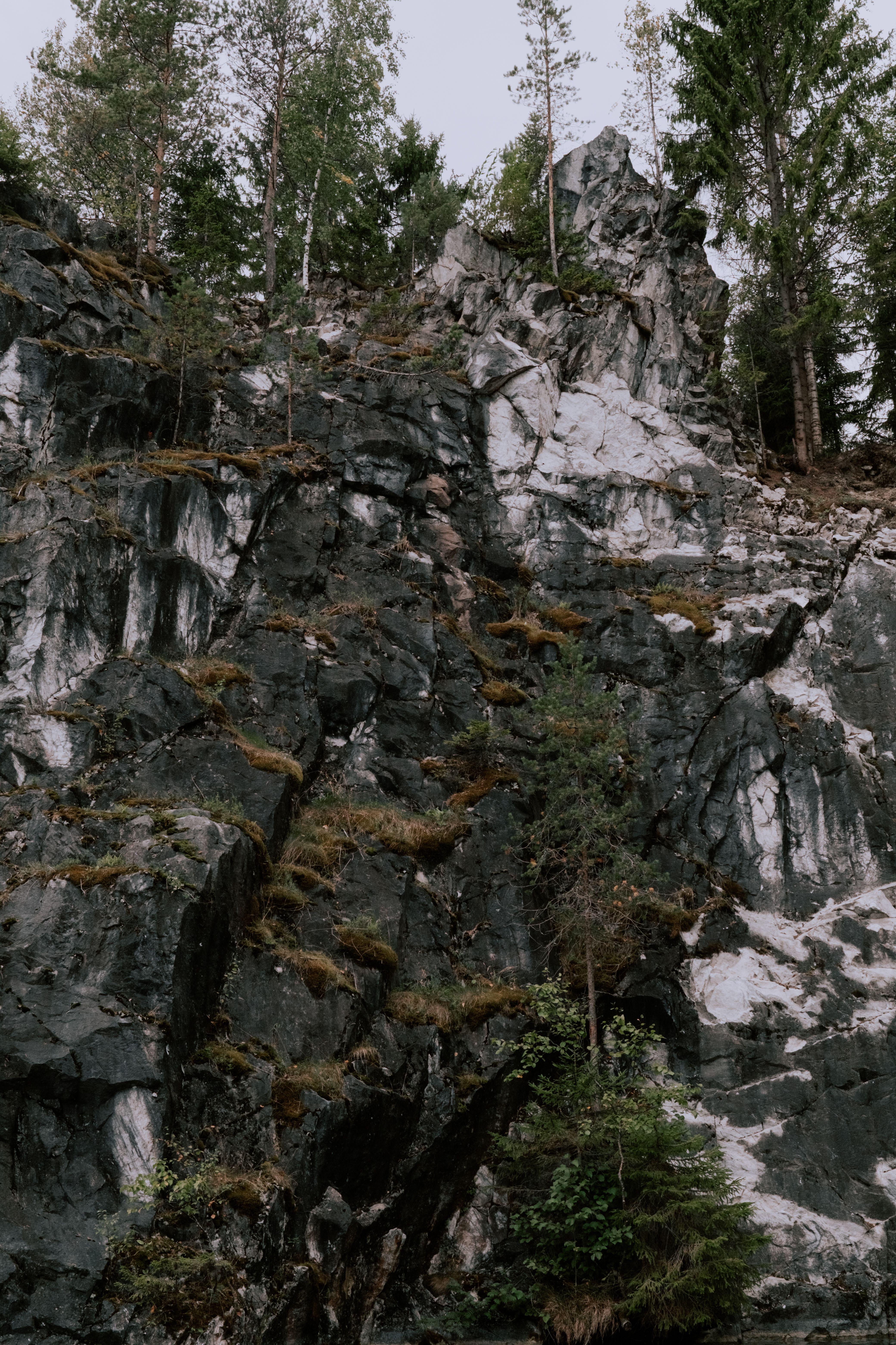 Explore the rugged beauty of a mossy rock face surrounded by a dense forest.