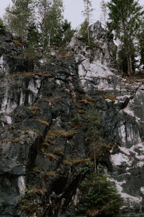 Free Explore the rugged beauty of a mossy rock face surrounded by a dense forest. Stock Photo