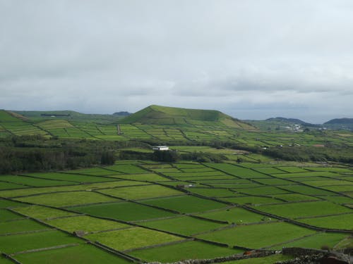 Aerial Shot of a Green Farm Field