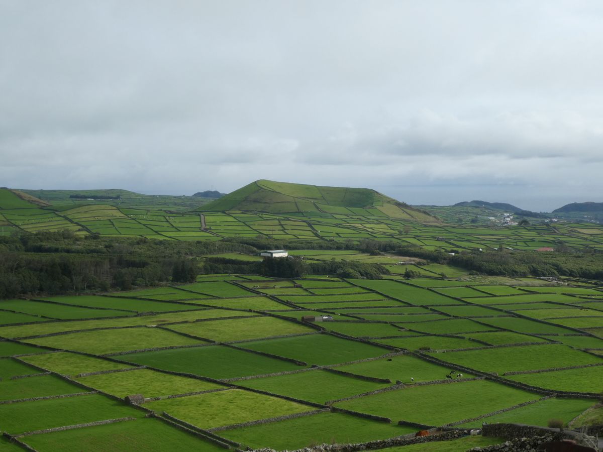 Land survey and property landscape