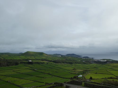 Campo De Hierba Verde Bajo El Cielo Nublado