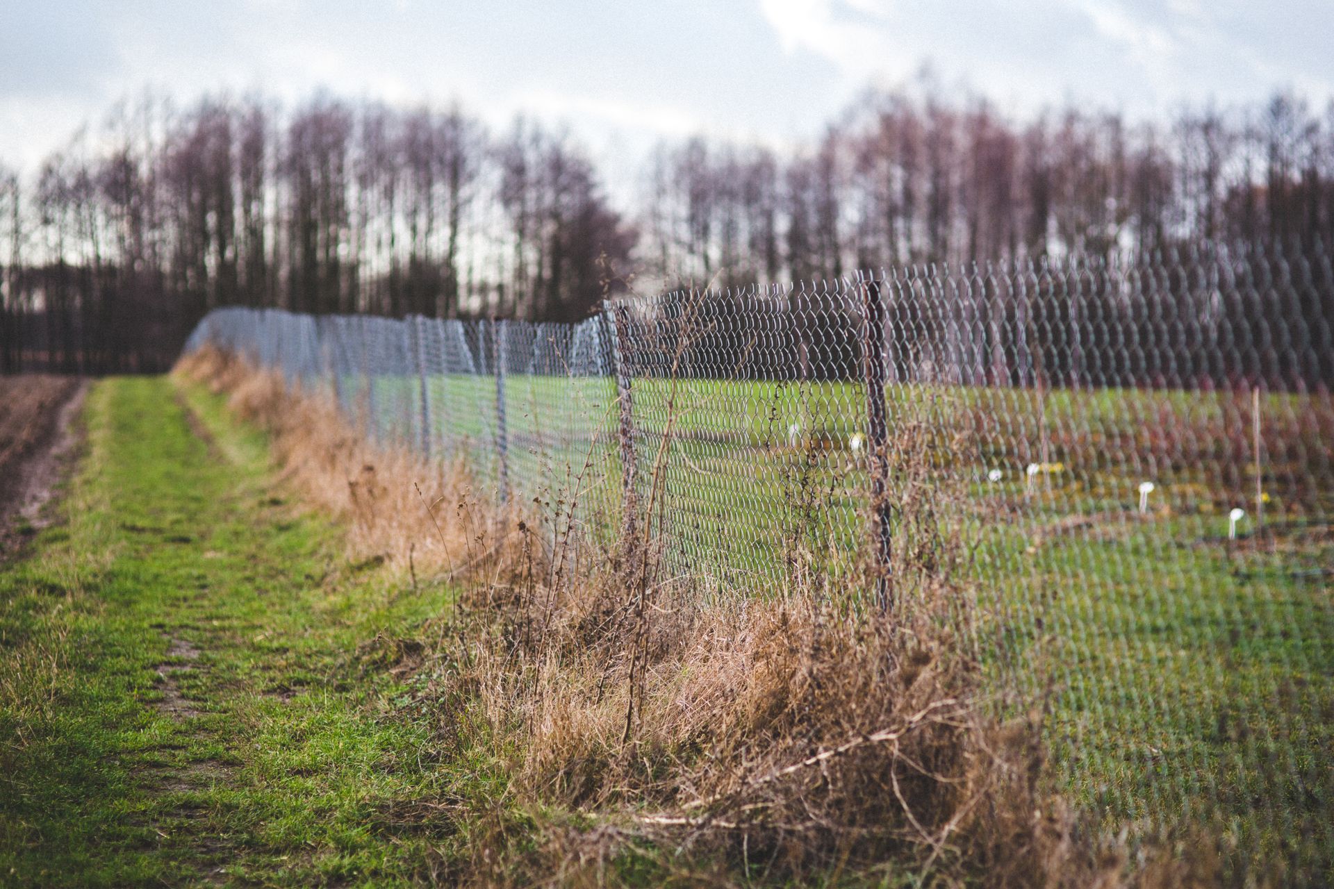 Tranquil countryside view featuring a wire mesh fence dividing fields during the autumn season.