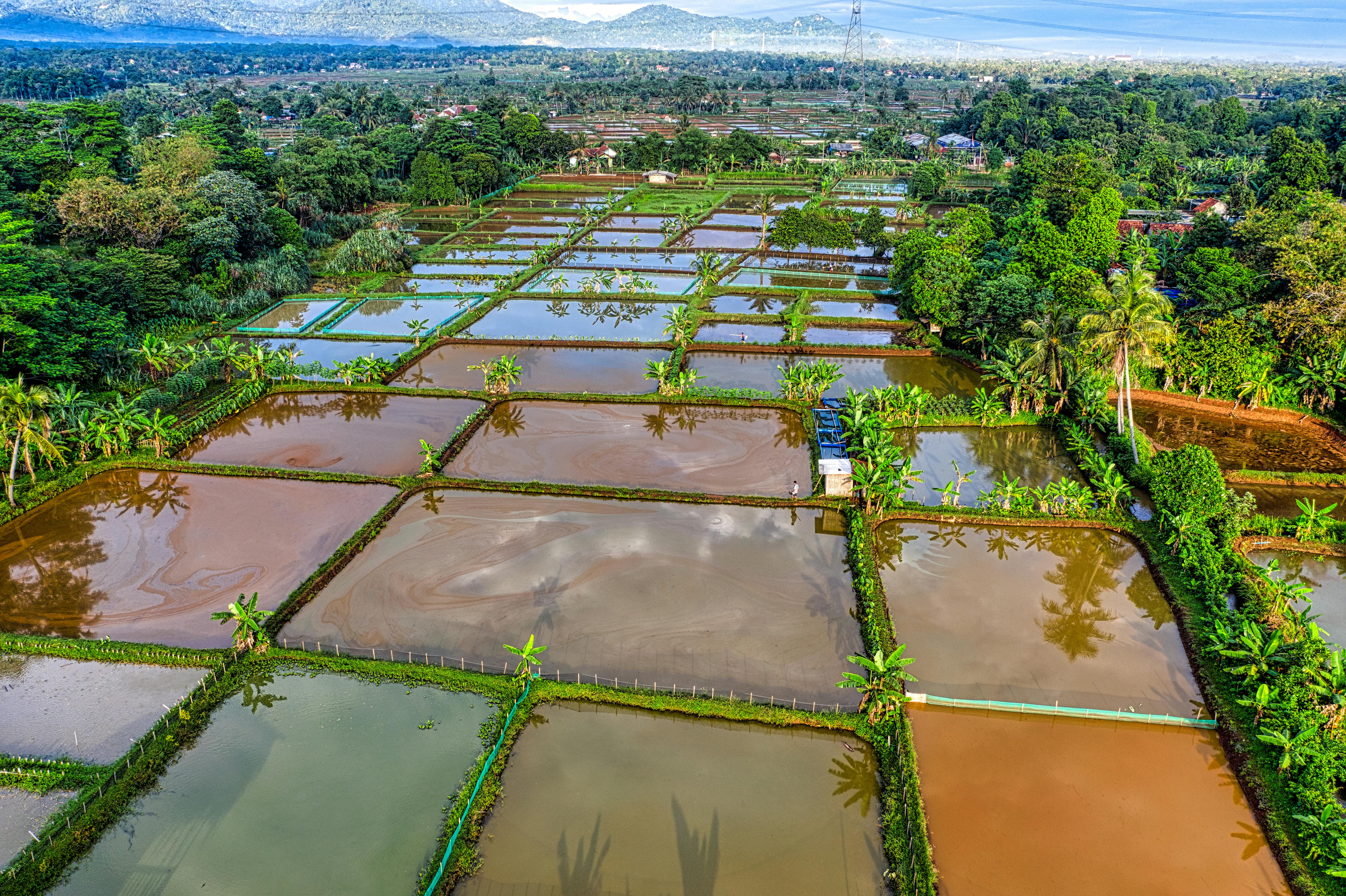 Zones en Permaculture : Comprendre l'Essence de la Planification