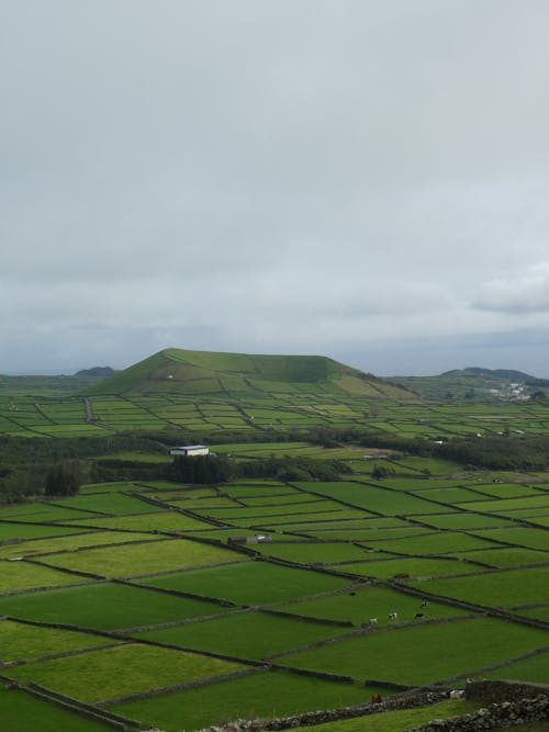 Aerial View of Green Fields