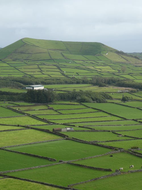 Aerial View of Green Fields