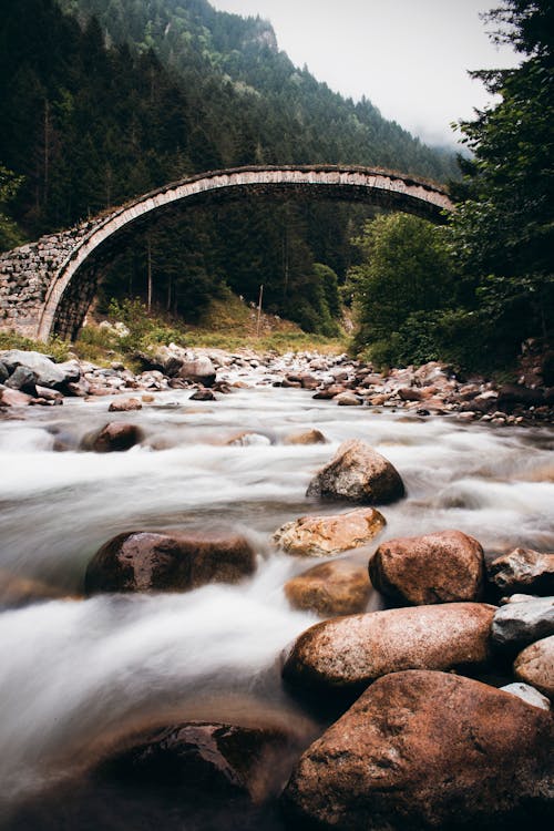 Immagine gratuita di alberi, fiume, rocce