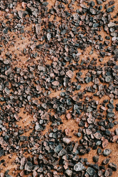 Pebbles on sandy seashore on sunny day