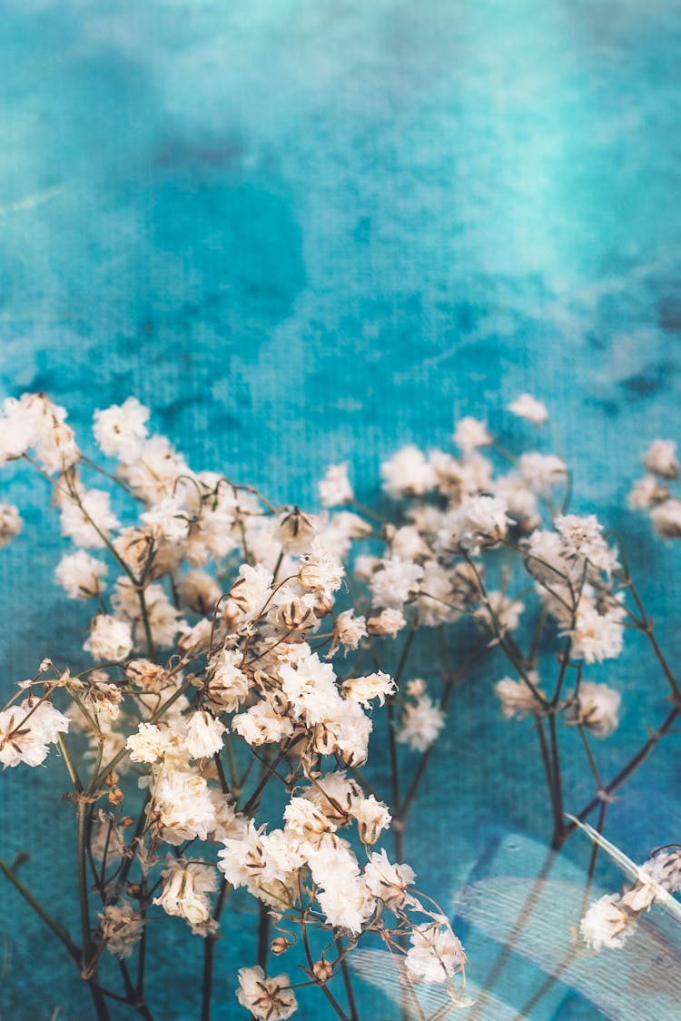 Gentle White Flowers Placed In Pool Water