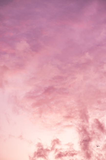 From below of fluffy pink clouds floating in picturesque sky at sunset as background
