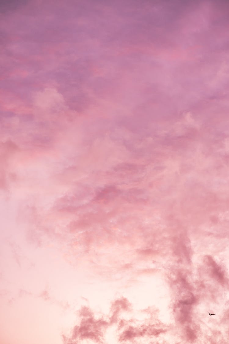 Background Of Amazing Pink Cloudy Sunset Sky