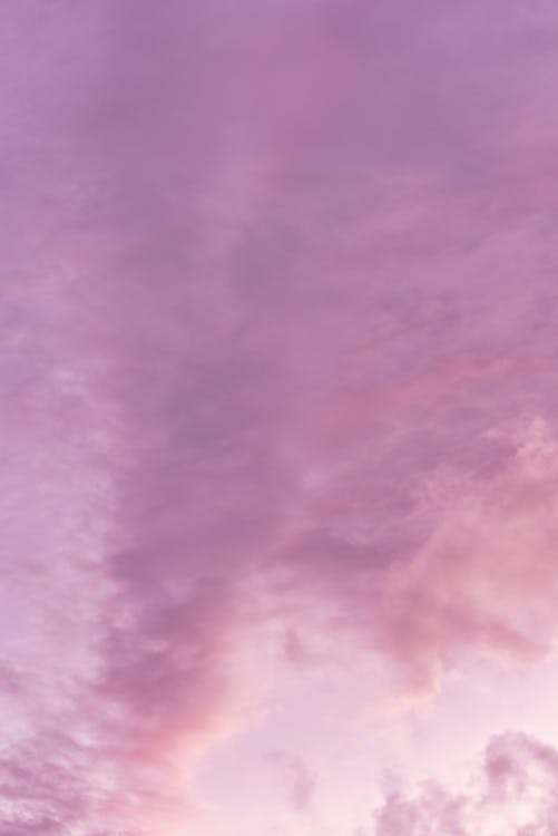 Low angle of spectacular sunset sky with purple fluffy clouds as abstract background