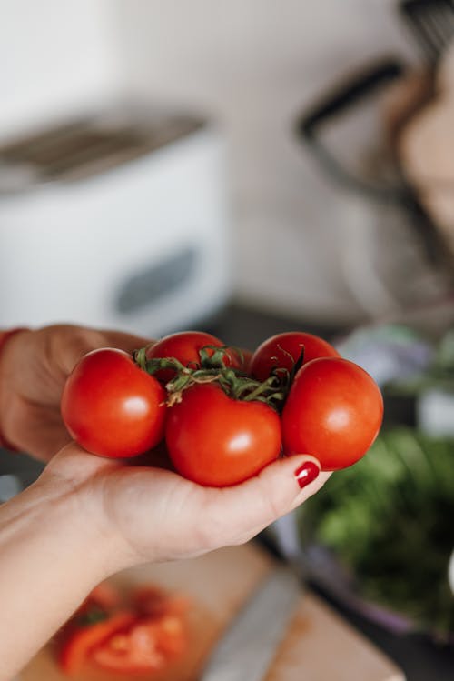 Unrecognizable woman holding fresh ripe tomatoes with green leaves in kitchen on blurred background