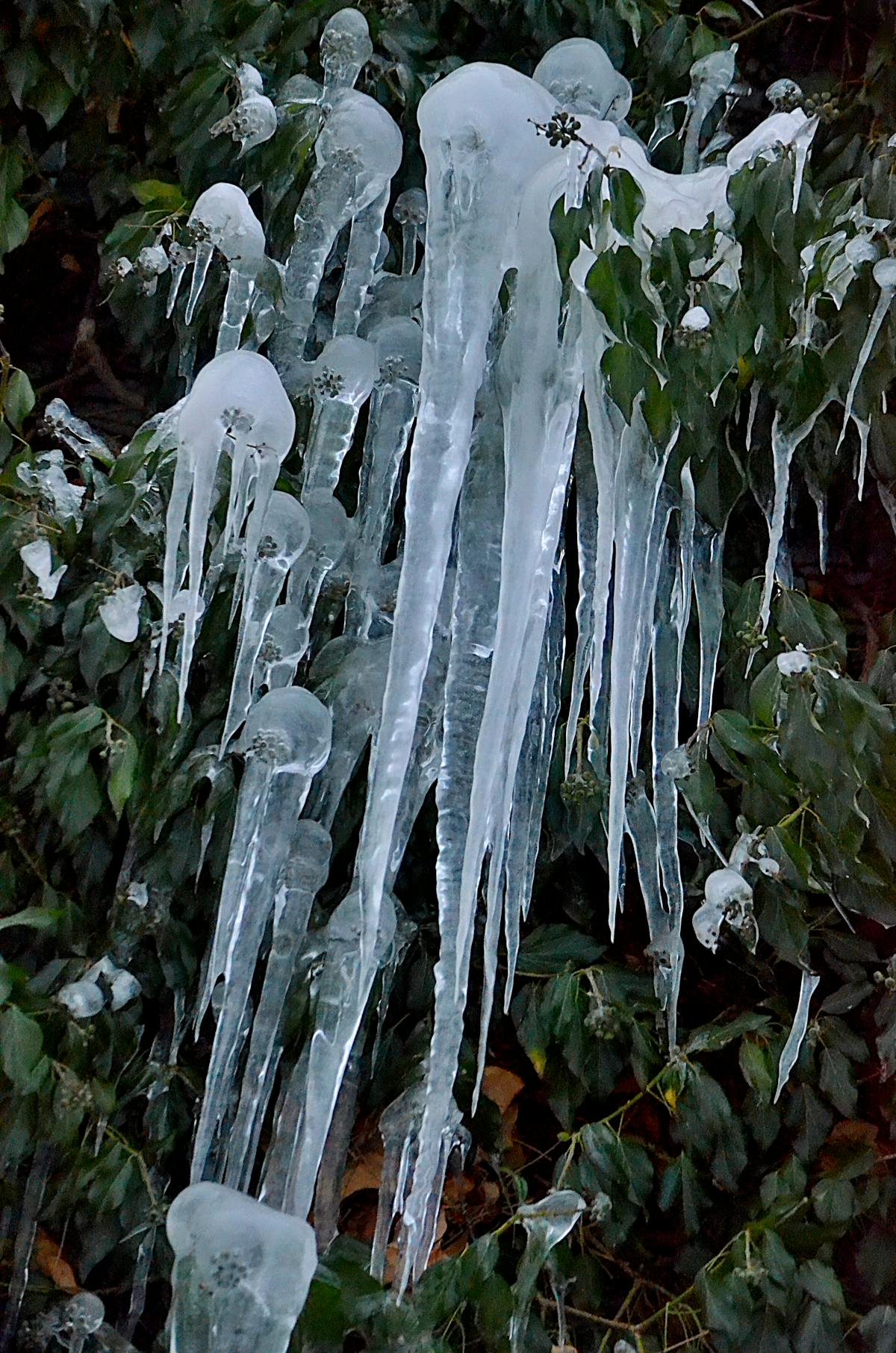 Colorful grain bowl topped with vegetables and seeds in a ceramic bowl