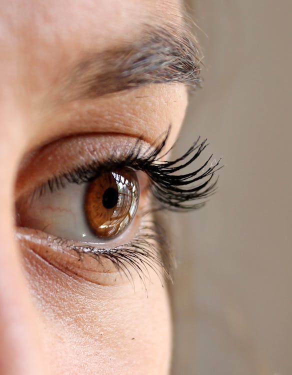 Free Women's Black Mascara Stock Photo