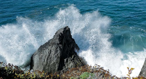 Foto profissional grátis de ondas, ondas de praia, pedras