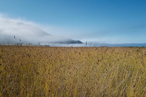 Foto profissional grátis de ao ar livre, big sur, Califórnia