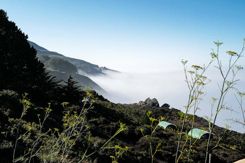 Foto profissional grátis de camada marinha, céu azul, céu azul claro