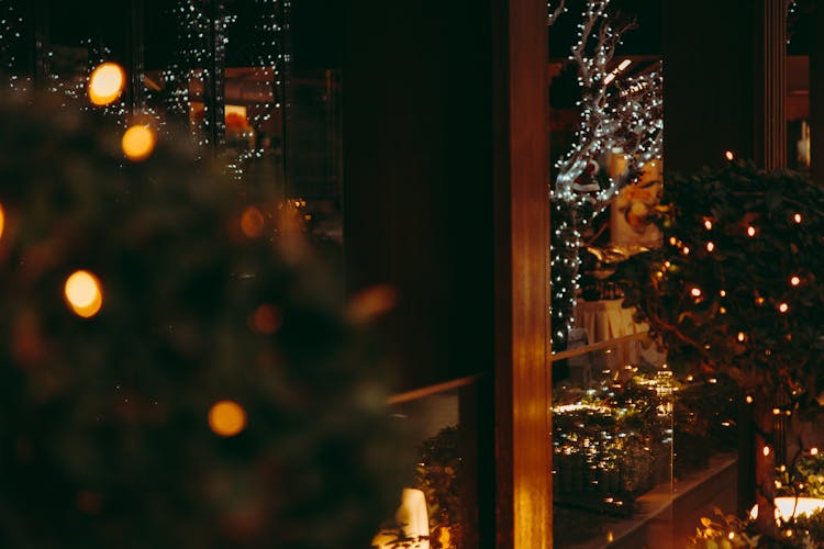 Christmas Decorations Reflection On Glass Panels