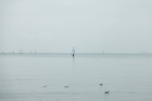 Windsurfer on Sea