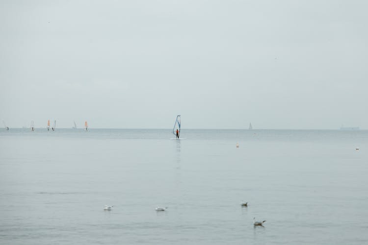 Windsurfer On Sea