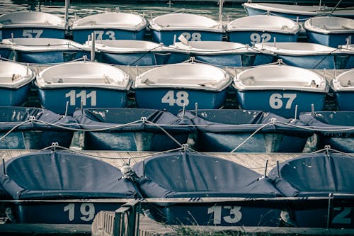 Numbered Blue and White Boats on Dock