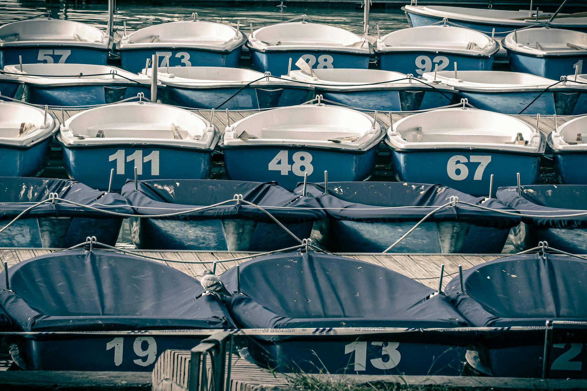 Blue boats numbered and docked at a marina, showcasing a tranquil watercraft scene.