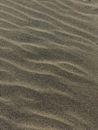 Gray Sand with Ripples