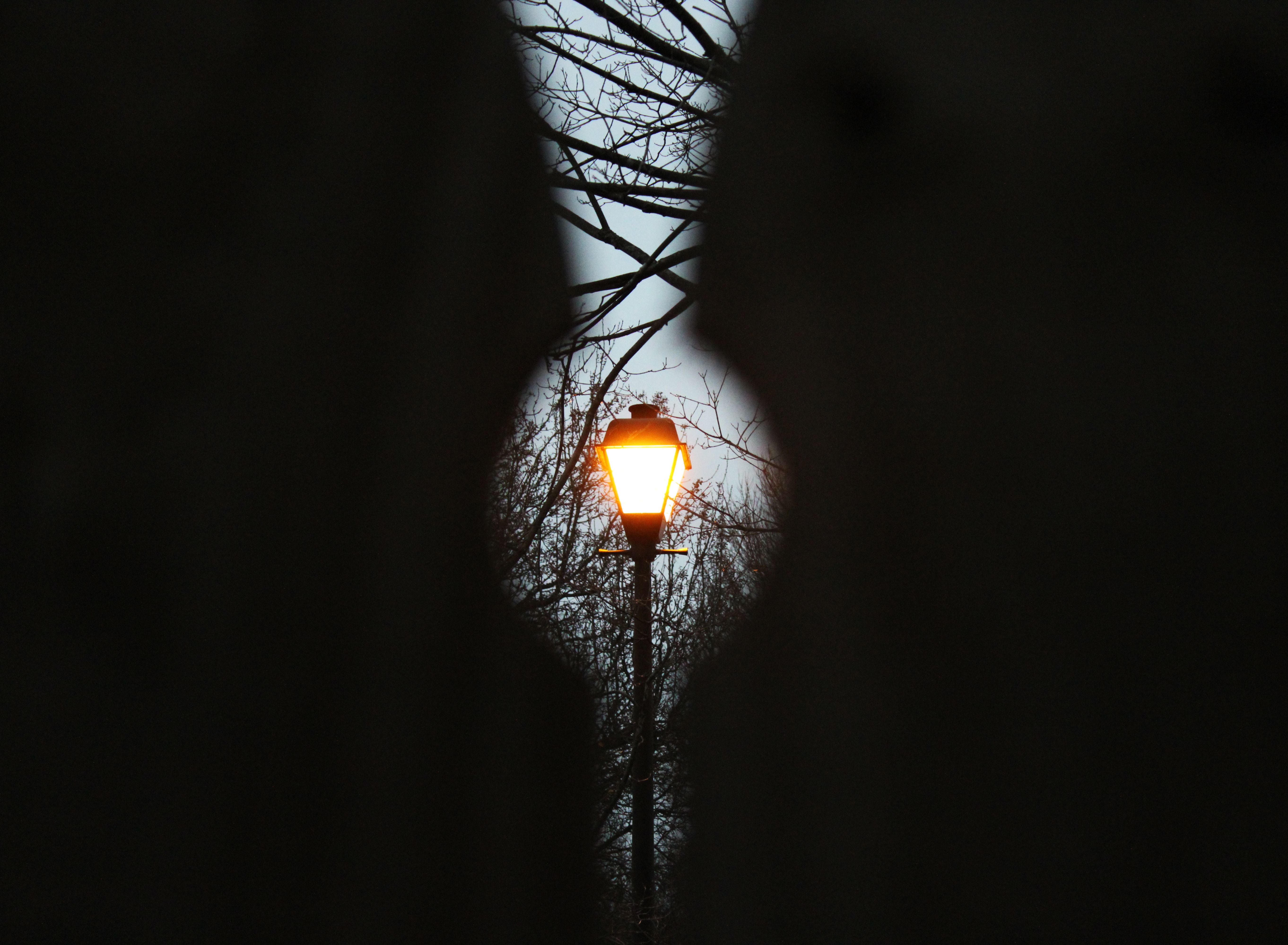 A Hidden Truth Comes to Light