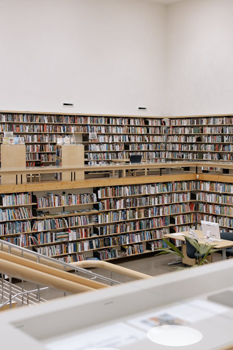 Books On Wooden Shelves