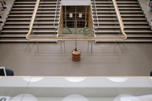 A modern library interior featuring a central plant, symmetrical stairs, and minimalist design.