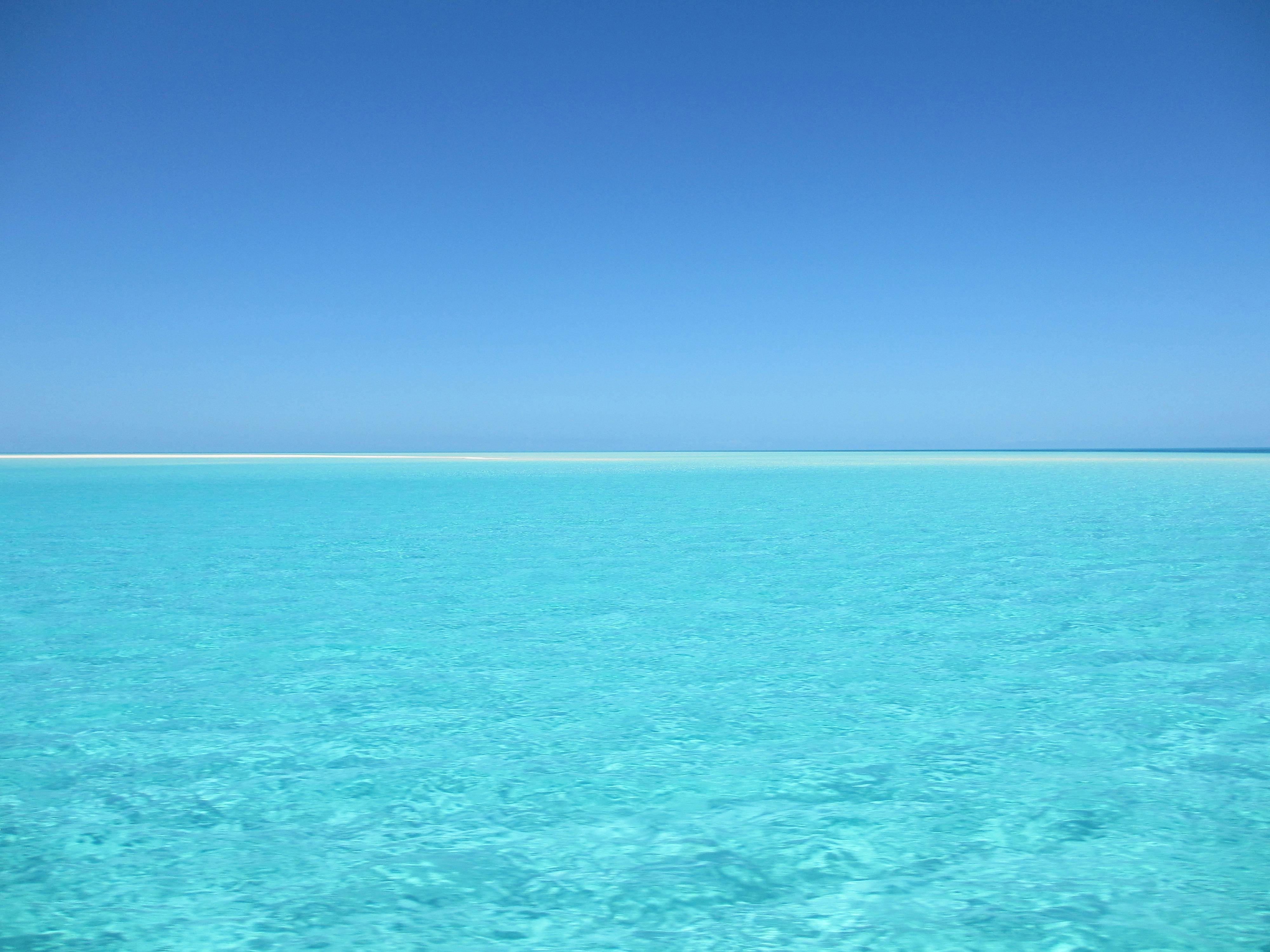 Mách bạn với hơn 111 hình nền đại dương tuyệt vời nhất  Tin học Đông Hòa